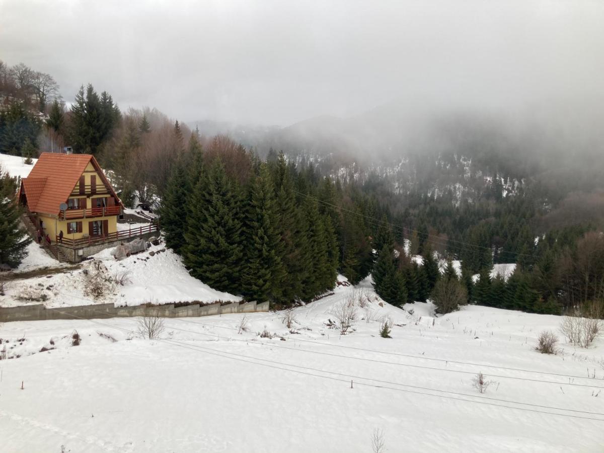 Vila Nina Kopaonik Διαμέρισμα Εξωτερικό φωτογραφία