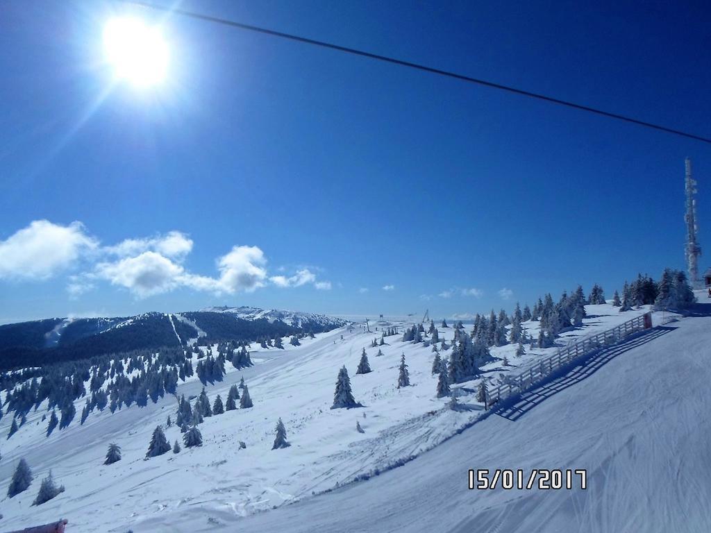 Vila Nina Kopaonik Διαμέρισμα Εξωτερικό φωτογραφία