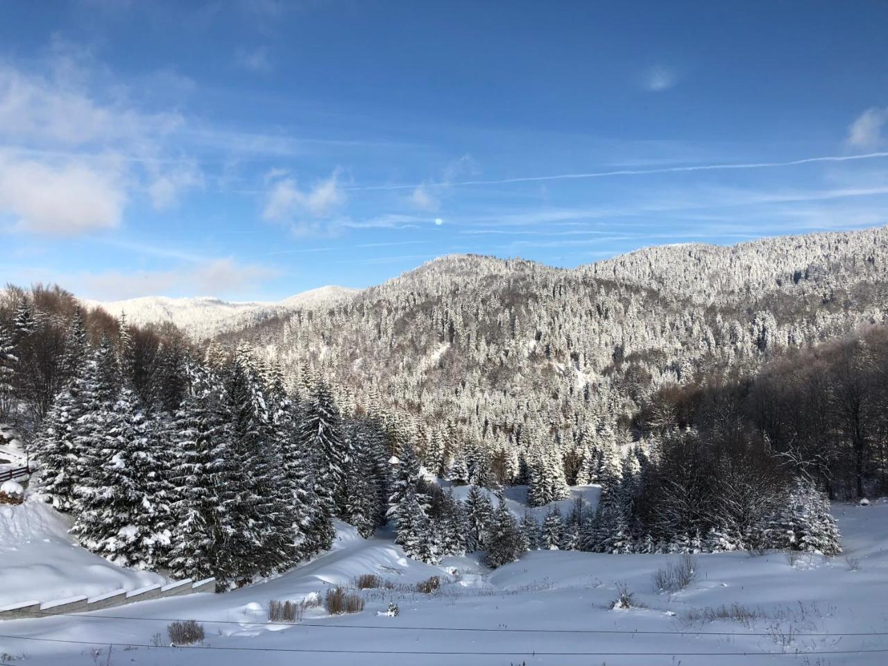 Vila Nina Kopaonik Διαμέρισμα Εξωτερικό φωτογραφία